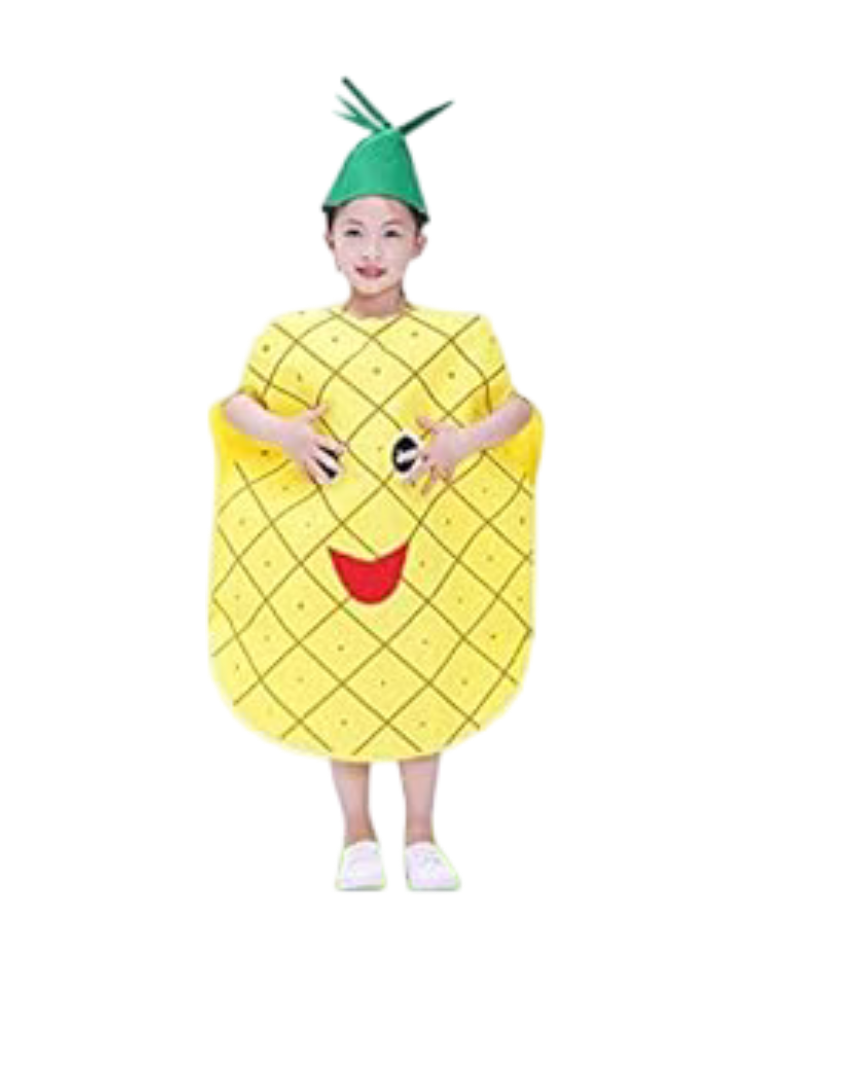 Kids Fruit Vegetable Costume Pineapple