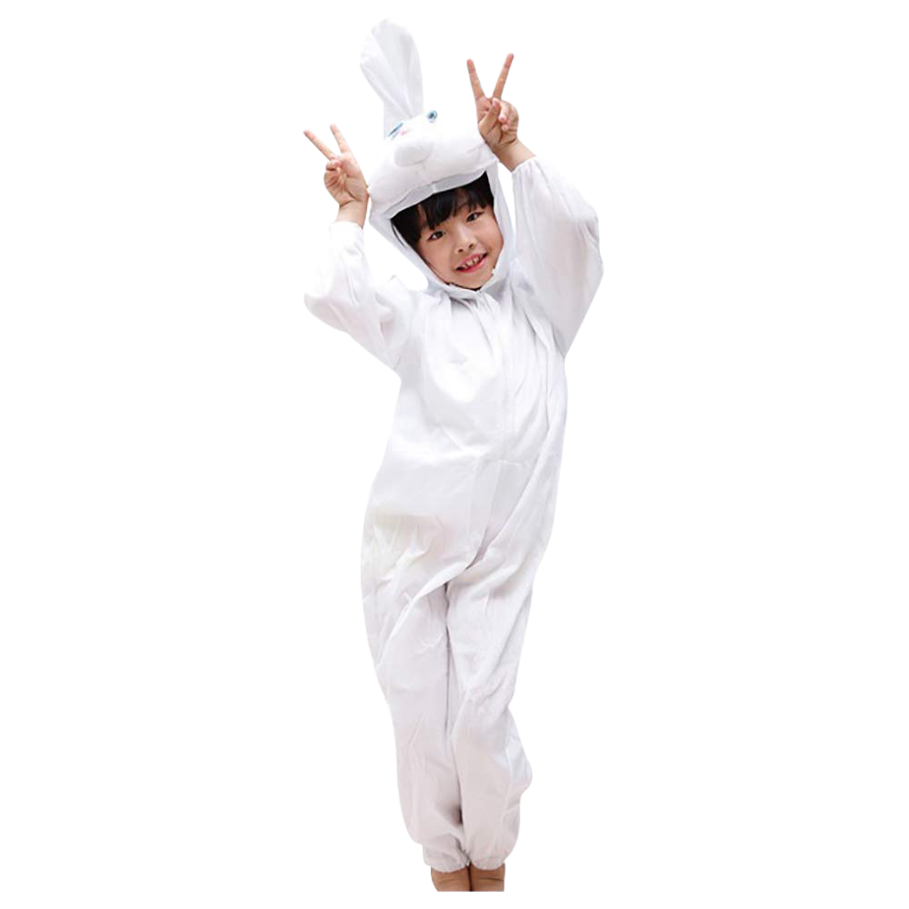 Rabbit White Costume (Small)