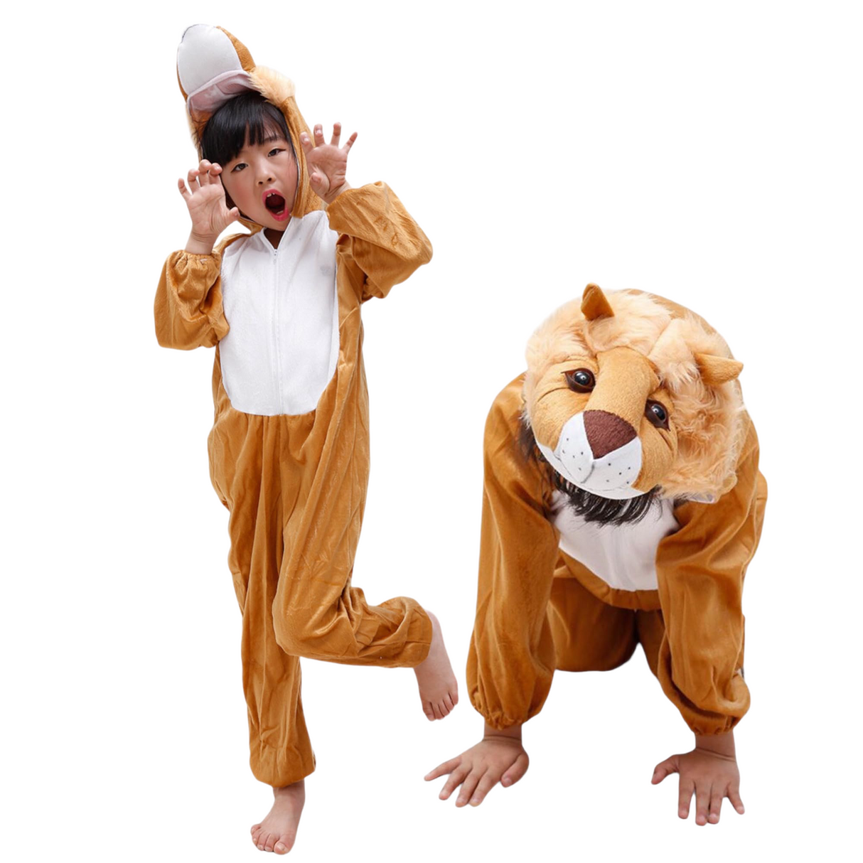 Lion Costume (Small)