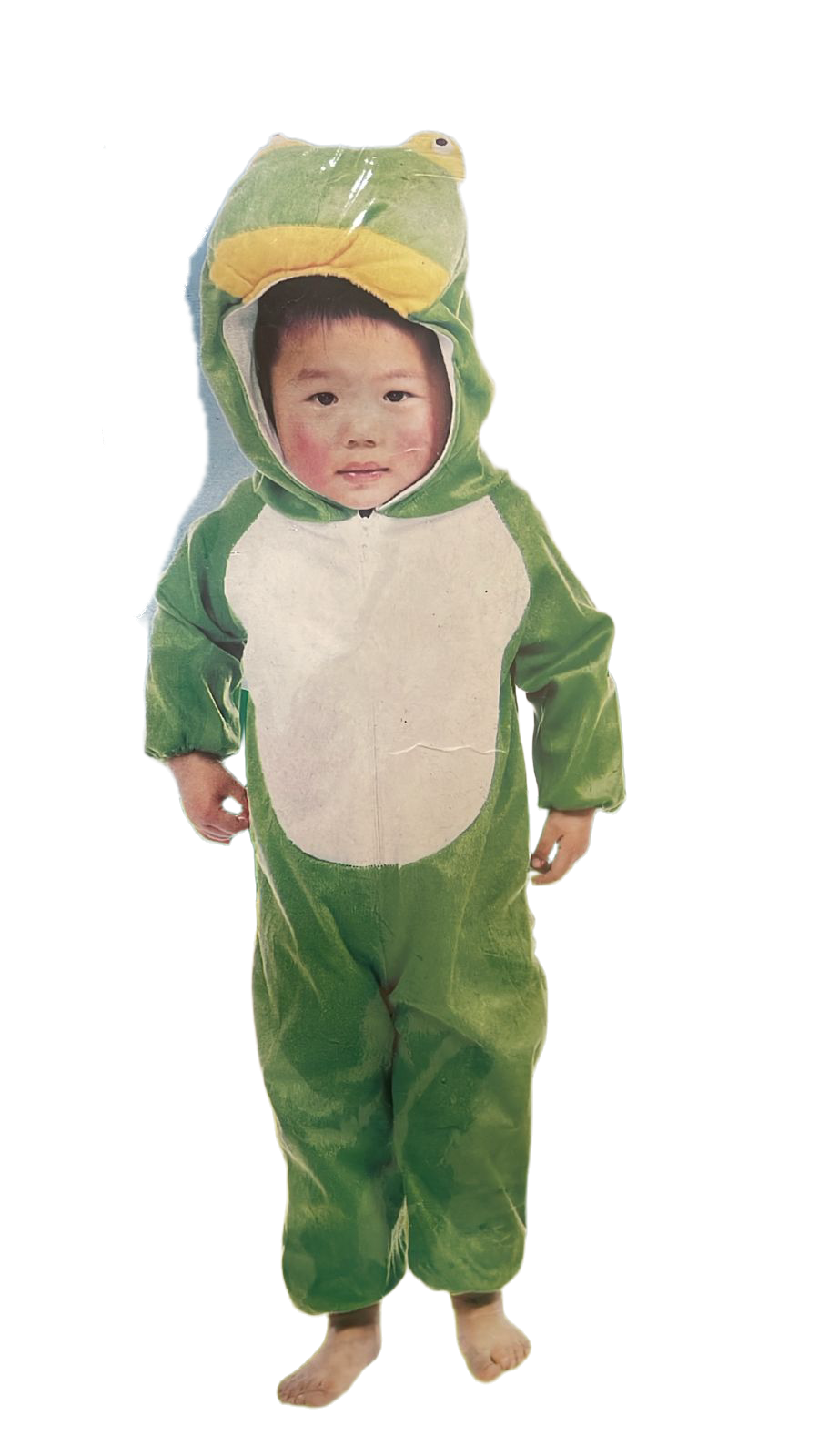 Frog Costume Kids (Medium)