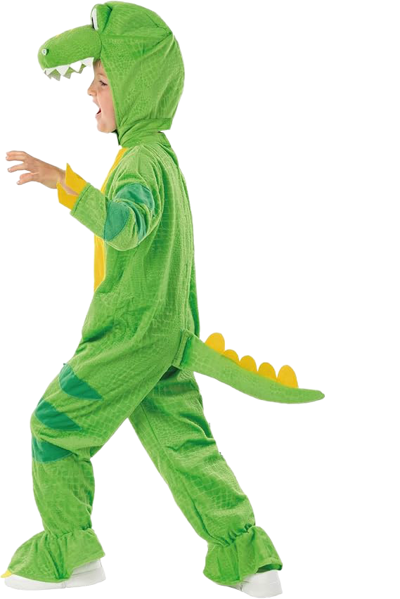 Dragon Costume (Small)