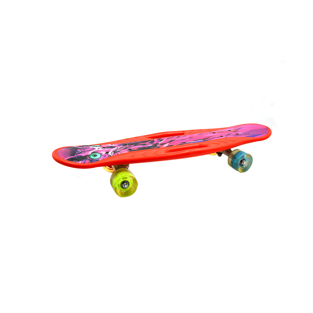 Skateboard With Light and 4 Color Wheels