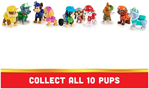 Paw Patrol 10th Anniversary All Paws Gift Set