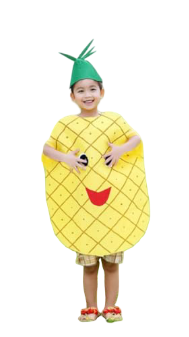 Kids Fruit Vegetable Costume Pineapple