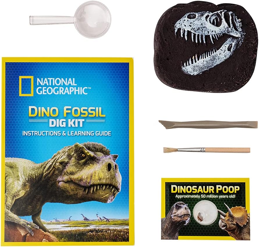 National Geographic Dino Fossil Dig Kit