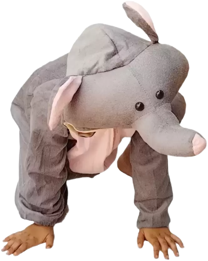 Elephant Costume (Large)