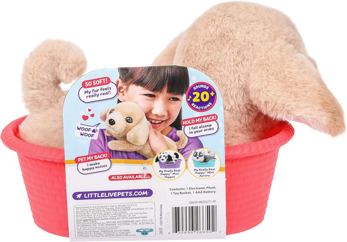 Little Live Pets My Really Real Mini Puppy Buddy