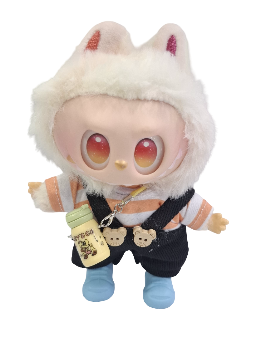 Labubu with Dress and Accessories(Each with Unique Design)