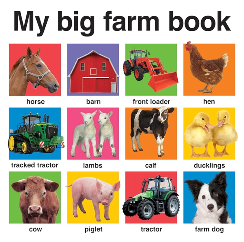 Book cover image of My Big Farm Book (My Big Board Books)