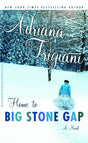 Book cover image of Home to Big Stone Gap (Big Stone Gap, #4)