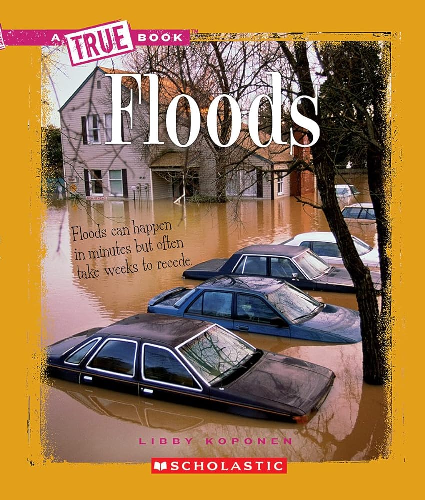 Book cover image of Floods (A True Book: Earth Science) (A True Book (Relaunch))