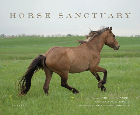 Book cover image of Horse Sanctuary