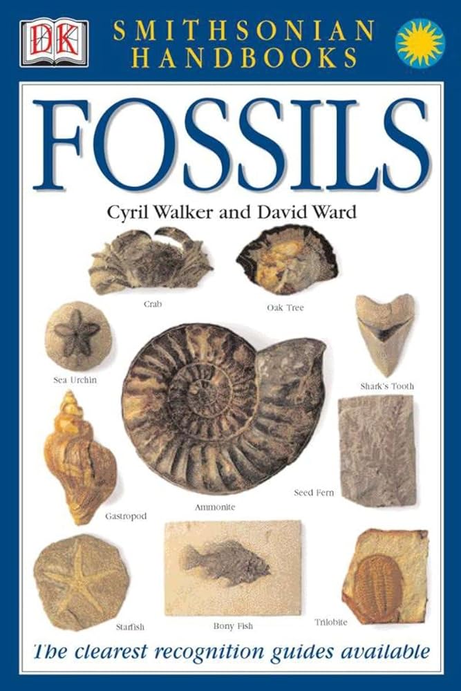 Book cover image of Handbooks: Fossils: The Clearest Recognition Guide Available (DK Smithsonian Handbook)