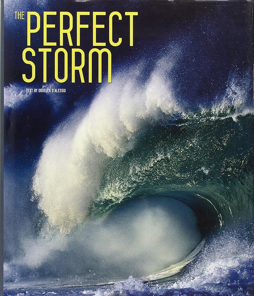 Book cover image of The Perfect Storm