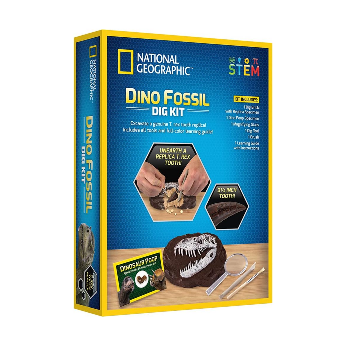 National Geographic Dino Fossil Dig Kit