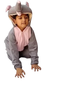 Elephant Costume (Medium)