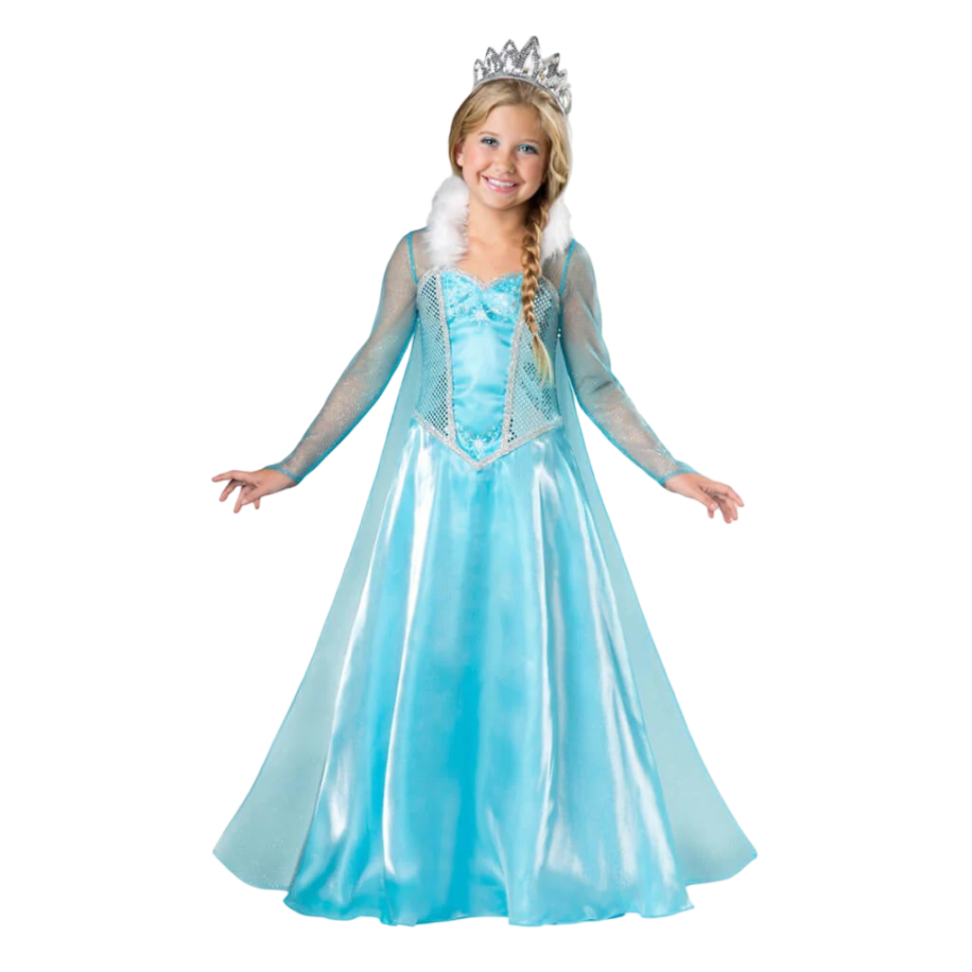 Kids Frozen Princess Costume (Large)