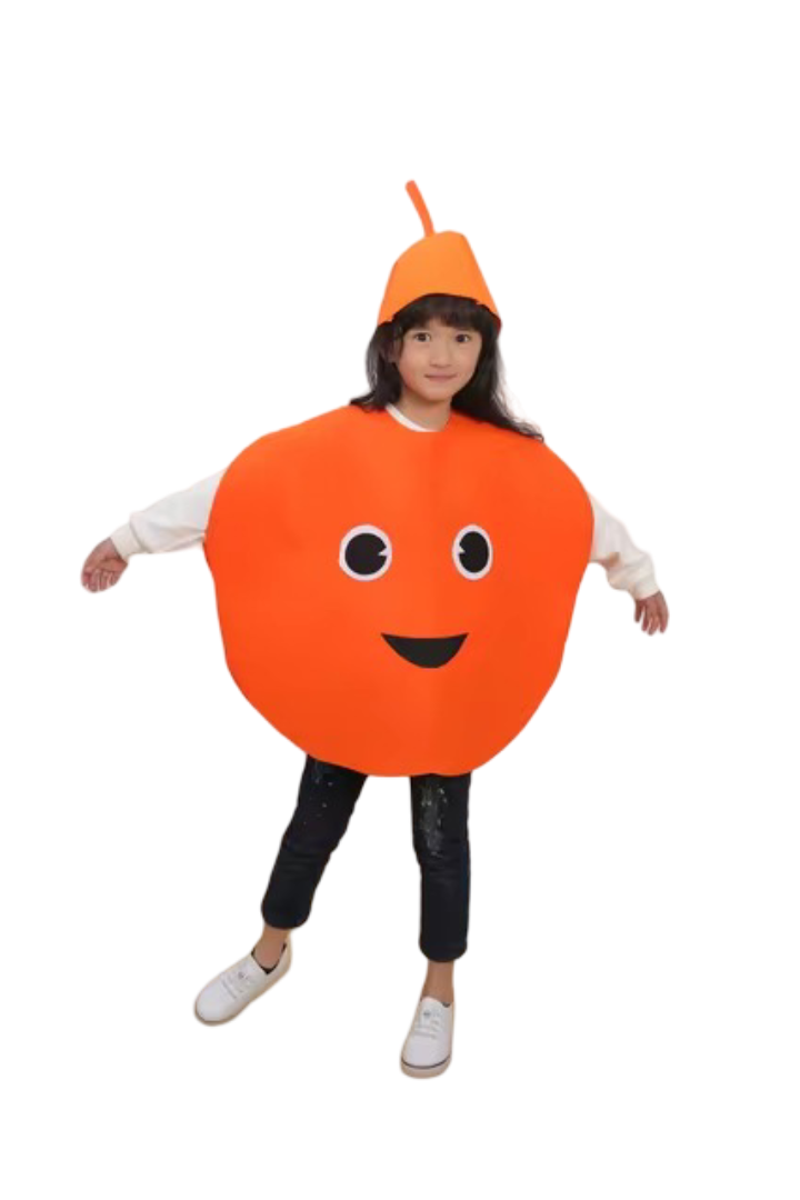 Kids Orange Costume