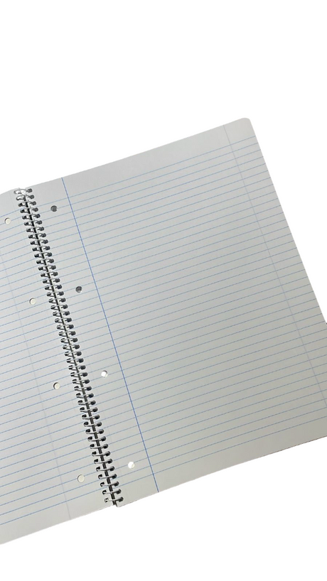 A4 Exercise Book – 48 Sheets, 90 GSM, Lined – Birds Design