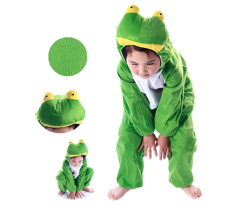 Frog Costume Kids (Small)