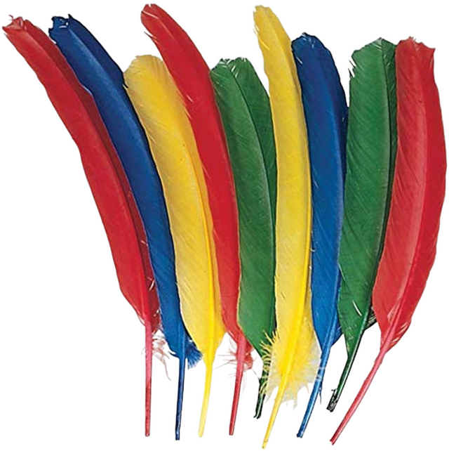 Color Feather (20 Pcs Pack)