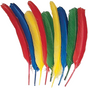Color Feather (20 Pcs Pack)