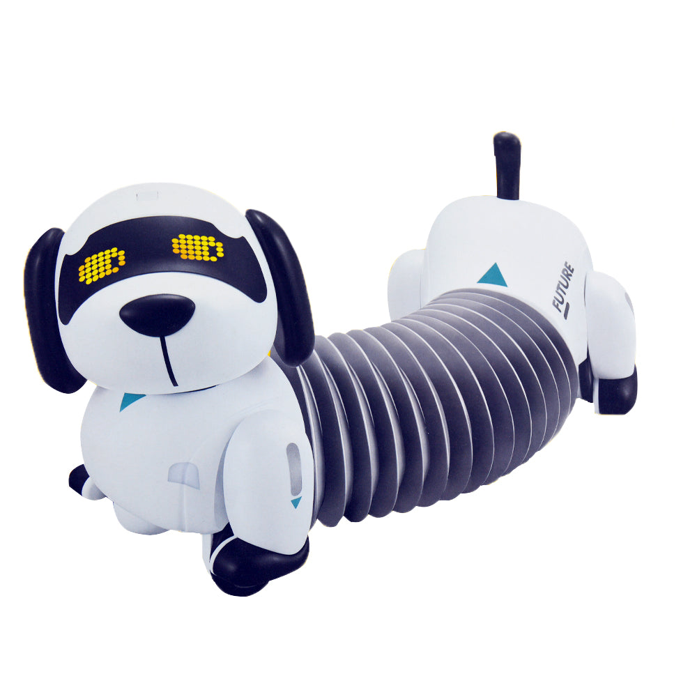 Links to FOLLOW THE DACHSHUND by