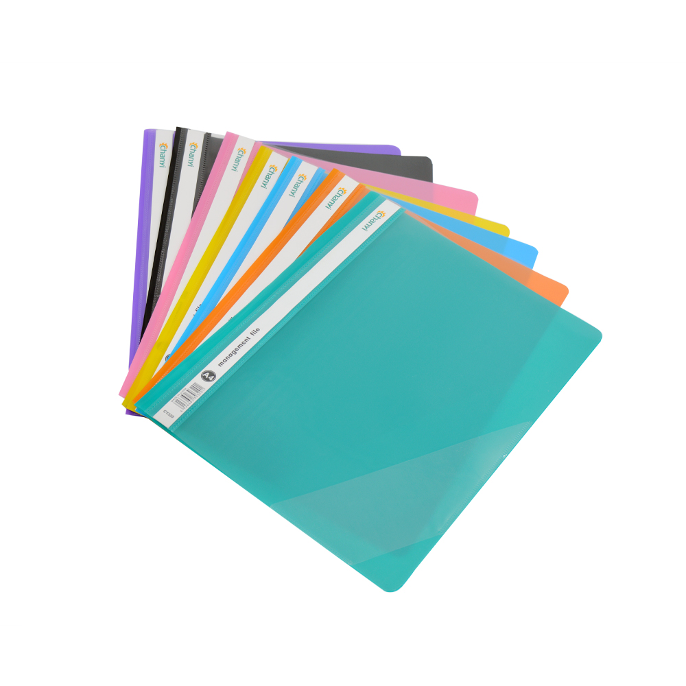 A4 Management File (Assorted Designs, Sold as Single)