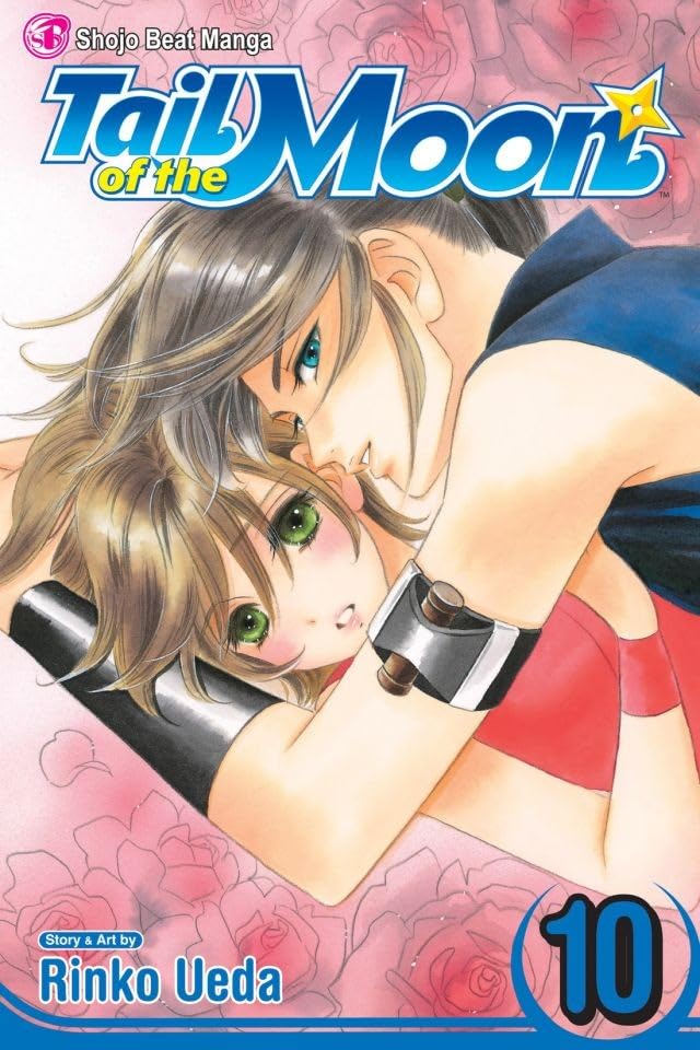 Cover image of Tail of the Moon, Vol. 10