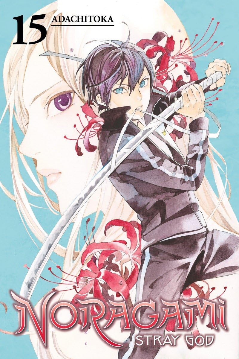 Cover image of Noragami: Stray God 15