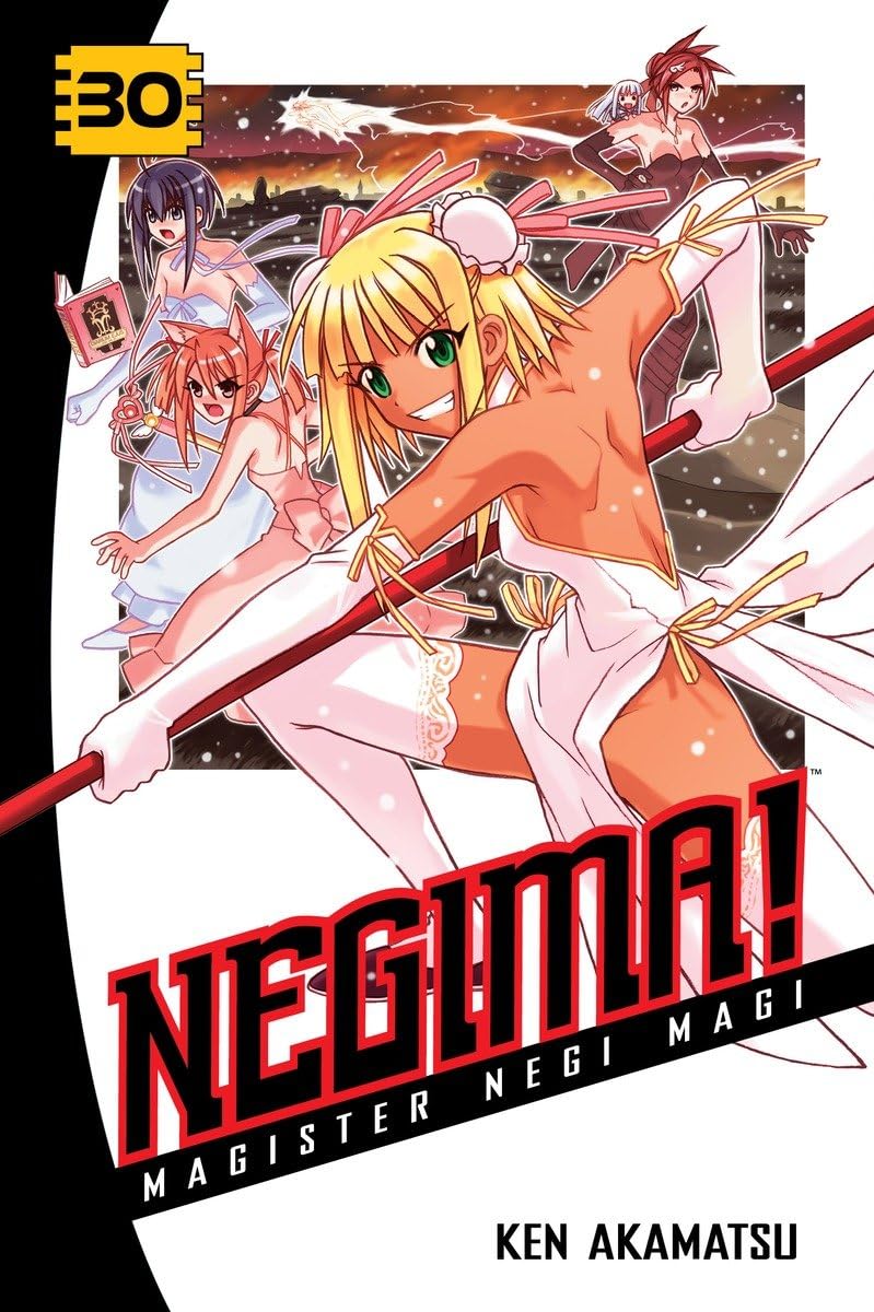 Cover image of Negima!: Magister Negi Magi, Vol. 30