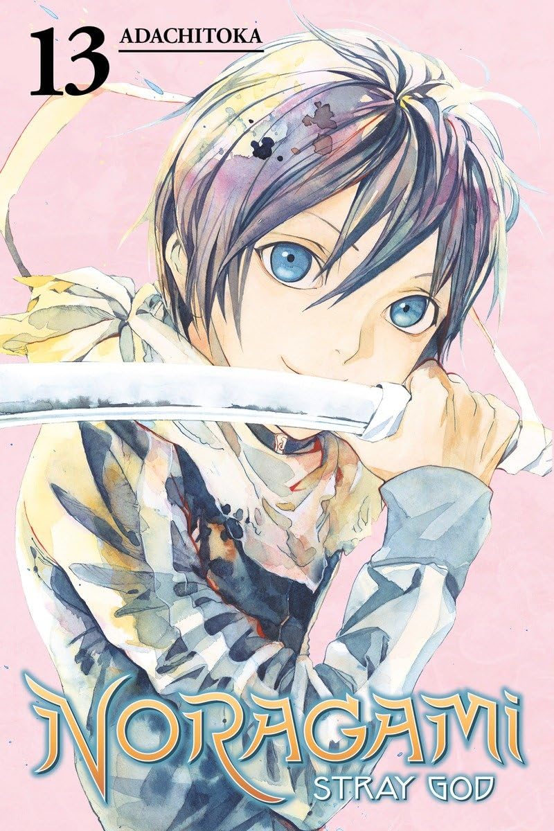 Cover image of Noragami: Stray God 13