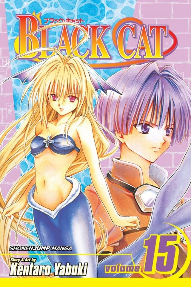 Cover image of the Manga Black-Cat-Vol-15