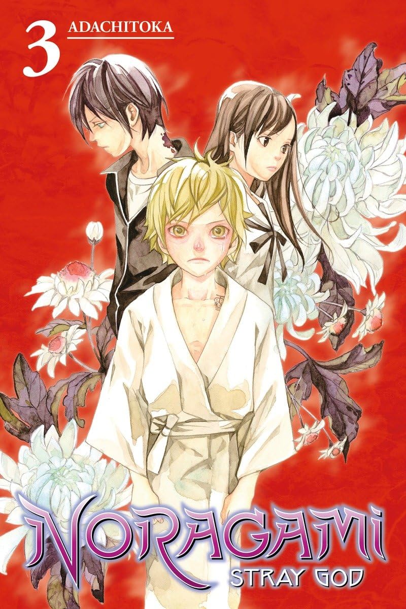 Cover image of Noragami: Stray God 3