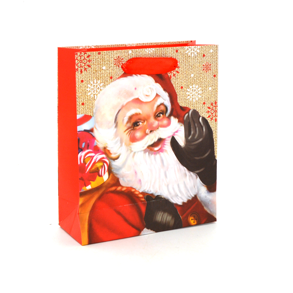 Christmas Gift Bag Medium - product image