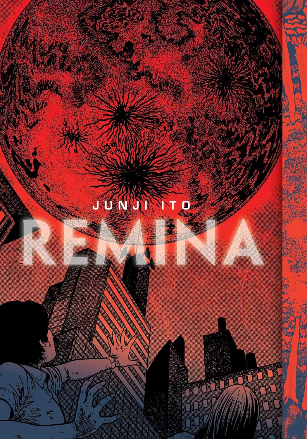 Cover image of Remina