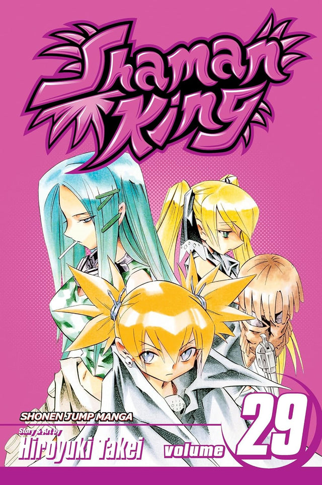 Cover image of Shaman King, Vol. 29