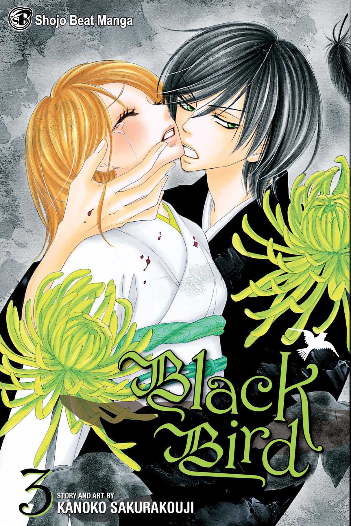 Cover image of the Manga Black-Bird-Vol-3