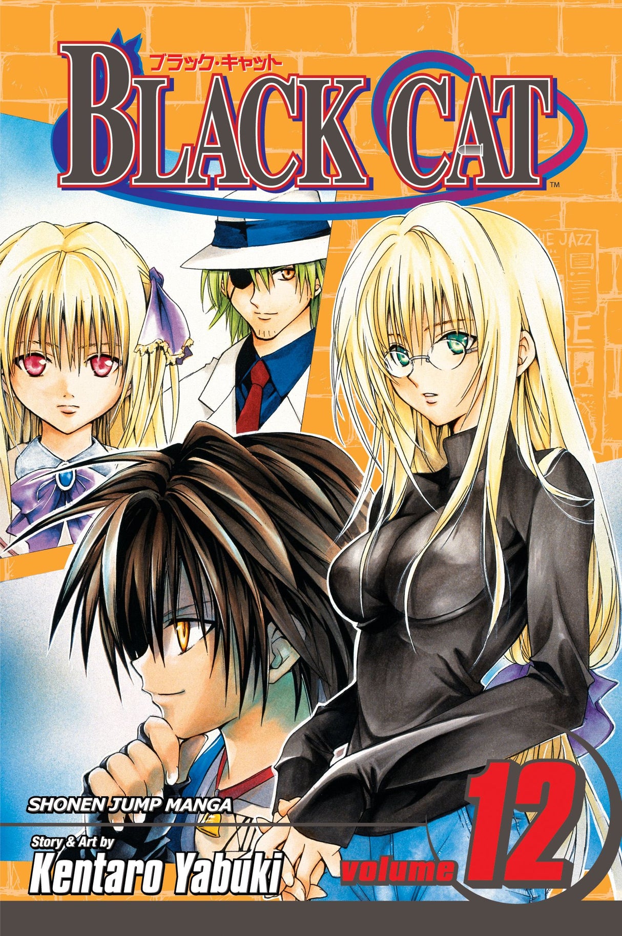Cover image of the Manga Black-Cat-Vol-12