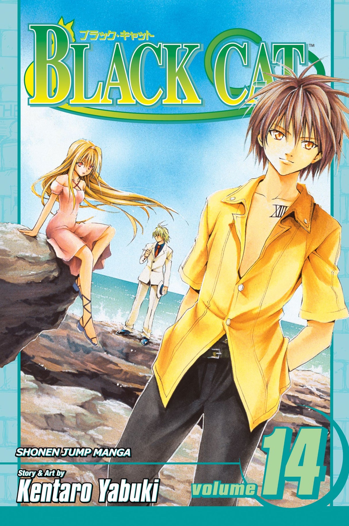 Cover image of the Manga Black-Cat-Vol-14