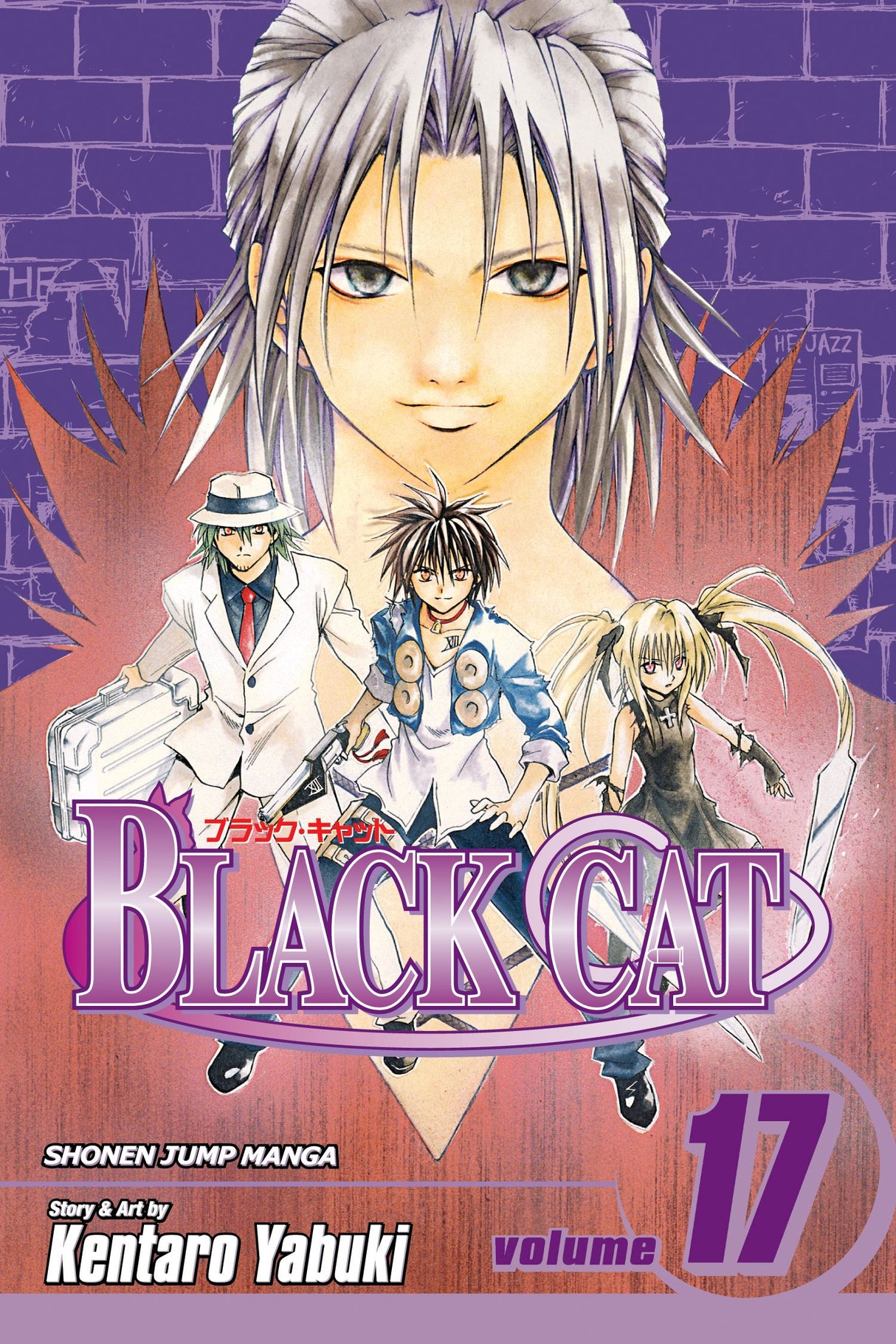 Cover image of the Manga Black-Cat-Vol-17