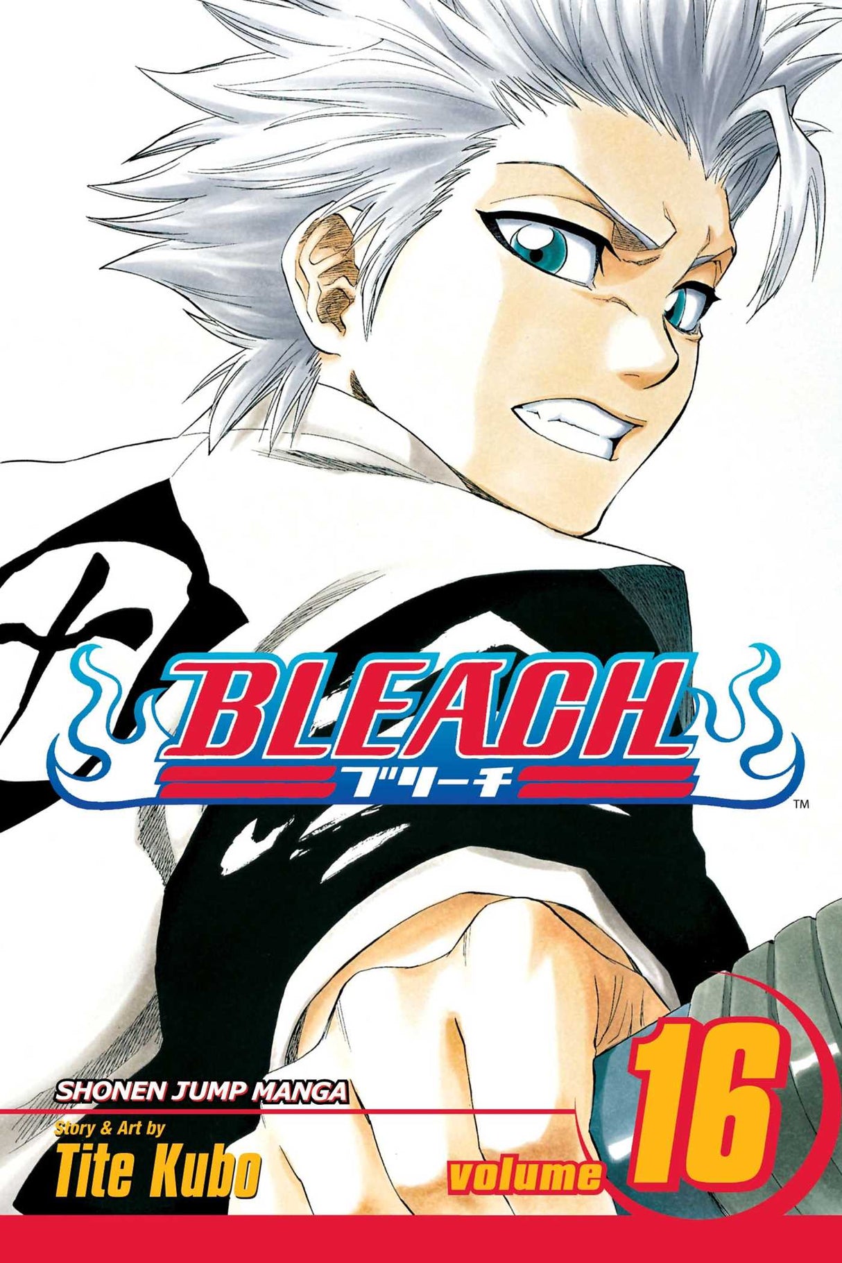 Cover image of the Manga Bleach, Vol. 16: Night of Wijnruit