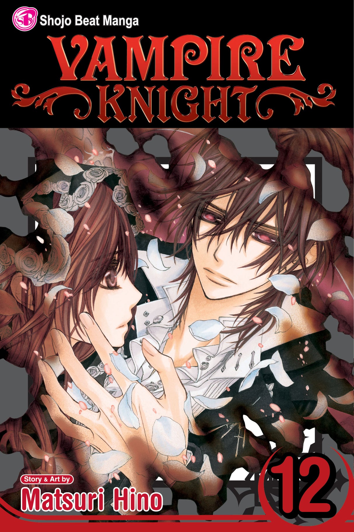 Cover image of the Manga Vampire-Knight-Vol-12
