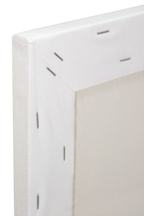 Mont Marte Single Thick Canvas Premium 91 4 X 91 4Cm 36 X 36In