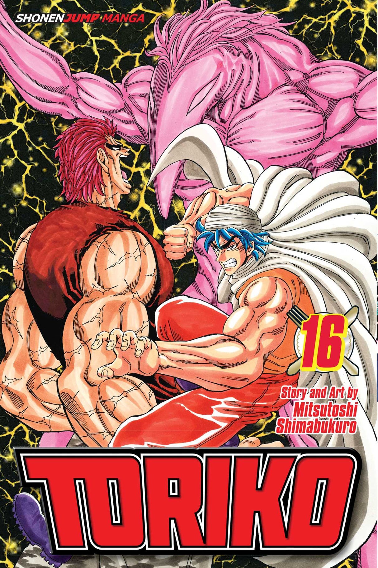 Cover image of the Manga Toriko-Vol-16