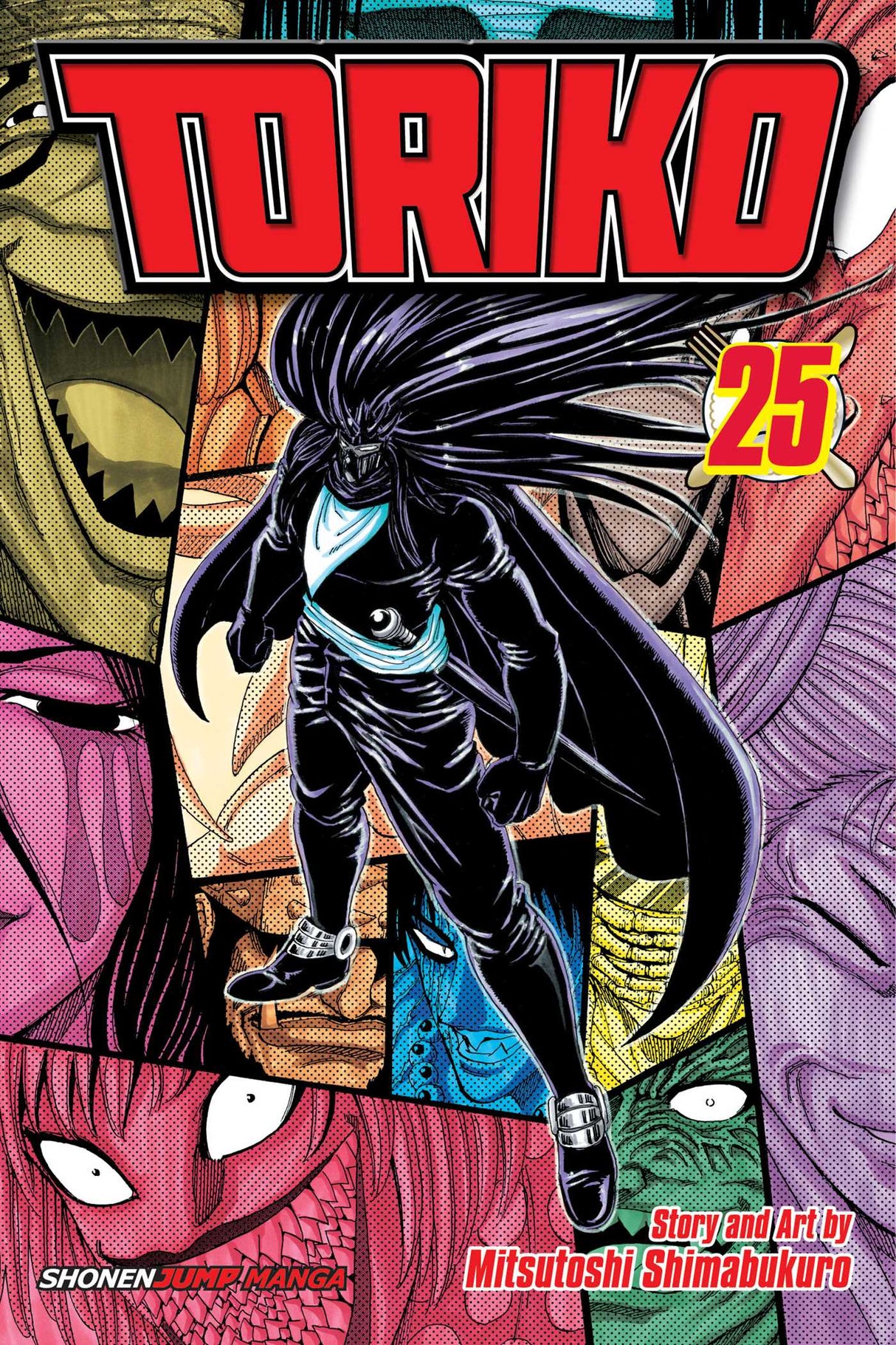 Cover image of the Manga Toriko-Vol-25