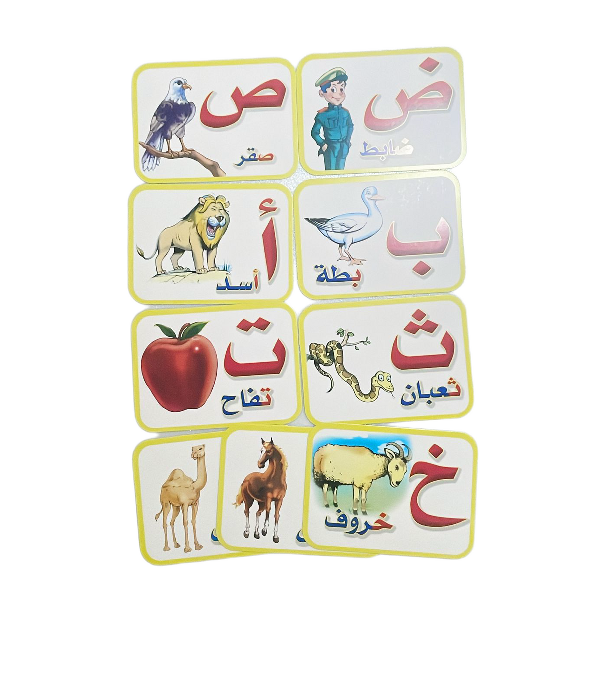 Arabic Flash Cards for Kids – Educational Learning Cards