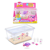 Pets Alive Mama & Baby Surprise Mama Turtle - Interactive Turtle with Hatching Eggs and 2-4 Baby Turtles - Assorted