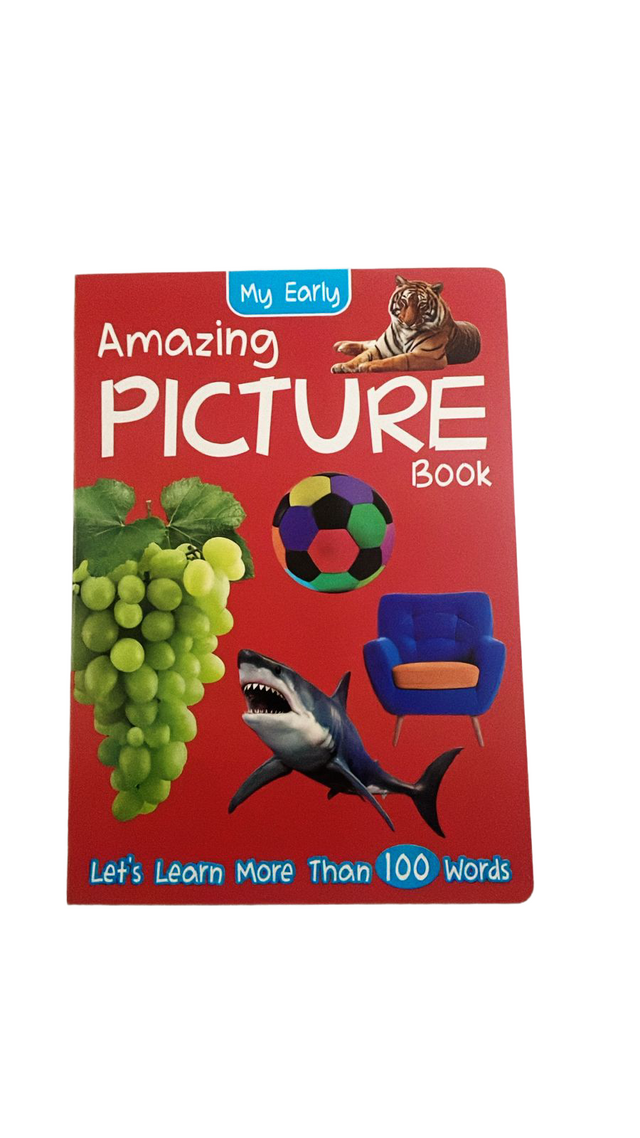 My Early Amazing Picture Book