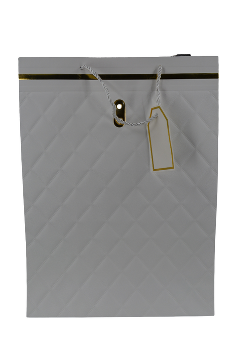 Paper Gift Bag White / Blue Color 31x42x12